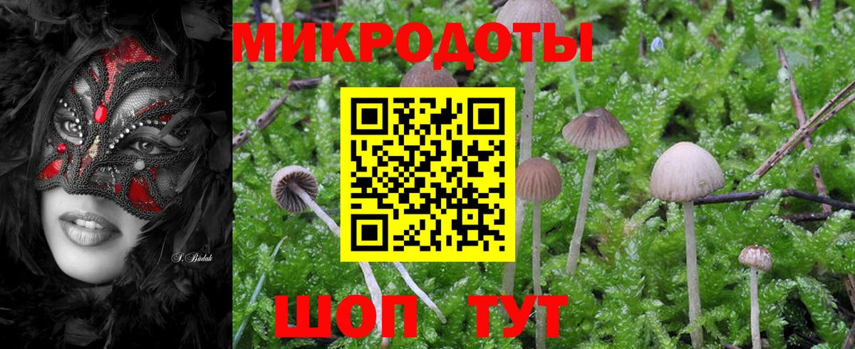 купить наркотик  Псилоцибиновые грибы Psilocybine cubensis  Вход с VPN  Ангарск 