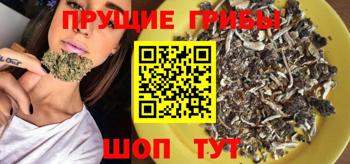 Галлюциногенные грибы Psilocybine cubensis Ангарск